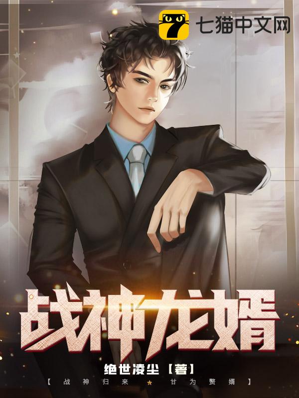 战神龙婿小说