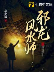 美国派6