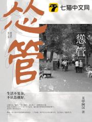 华丽的外出在线观看
